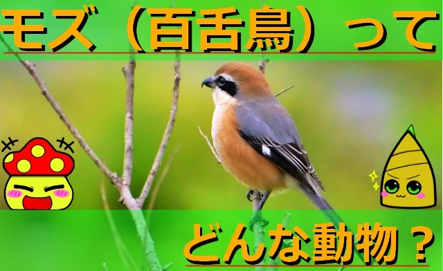 Thumbnail of post image 069